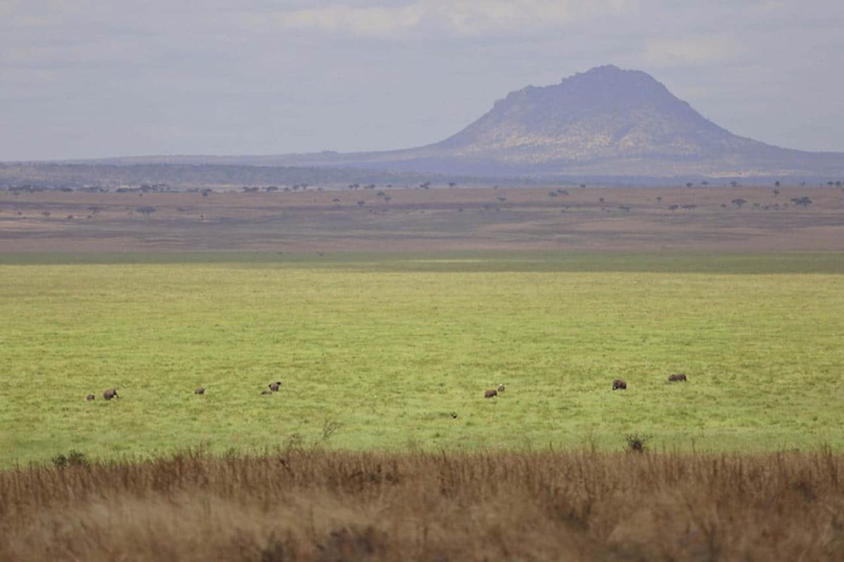 Cedarberg Travel | Oliver's Camp