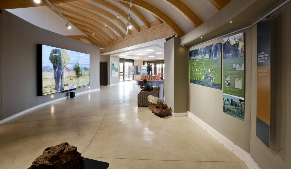 Cedarberg Travel | Ongava Lodge