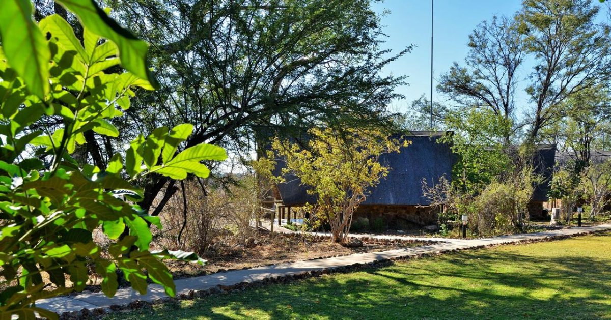 Cedarberg Travel | Muchenje Safari Lodge