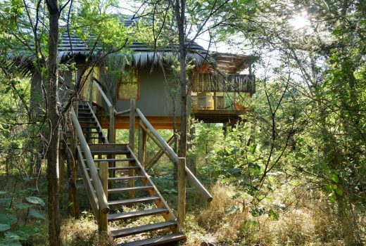 Treetop Chalet