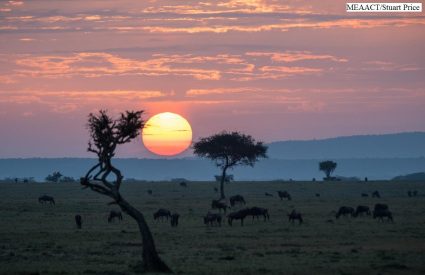 Porini Safari and Diani Beach