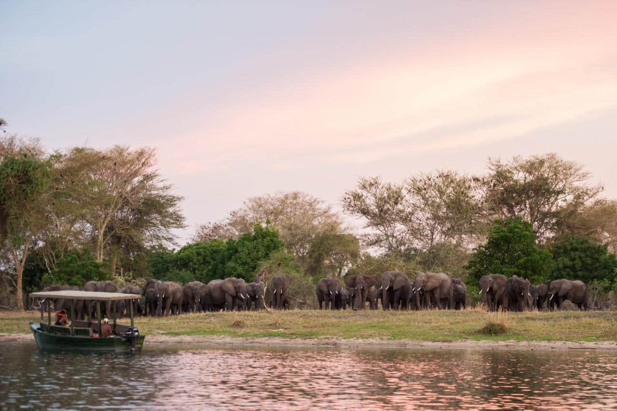 Cedarberg Travel | Mvuu Camp