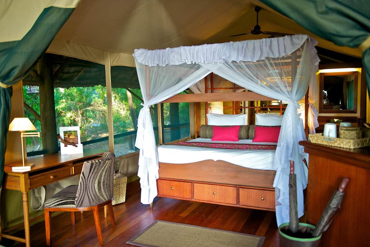 Cedarberg Travel | Samburu Intrepids Tented Camp