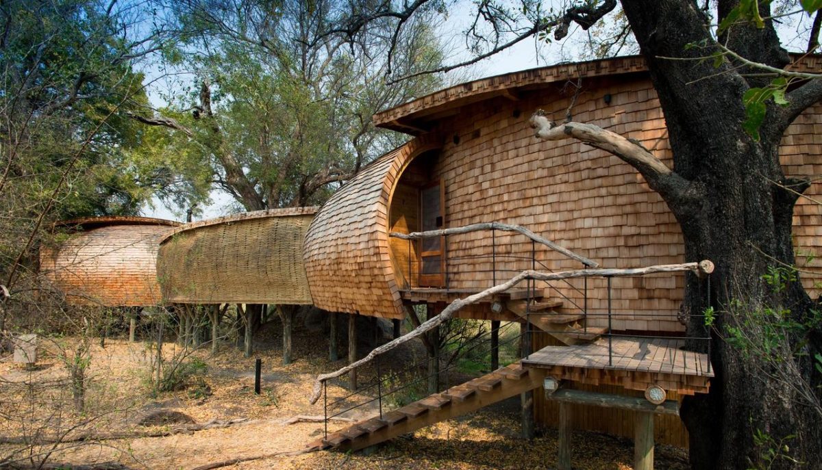 Cedarberg Travel | andBeyond Sandibe Okavango Safari Lodge