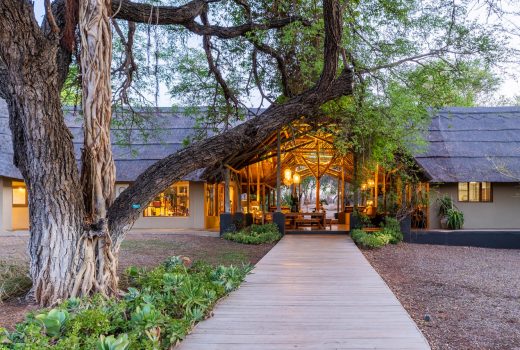 Thornybush Game Lodge