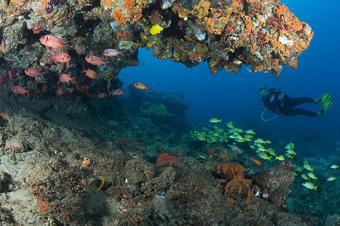 South Africa diving spots - Coastal Maputaland