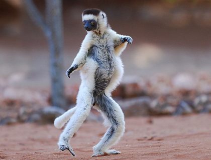 Madagascar