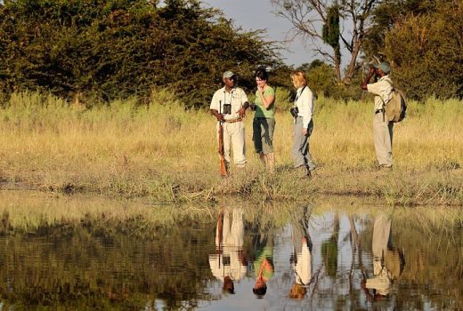 Botswana Walking Safaris