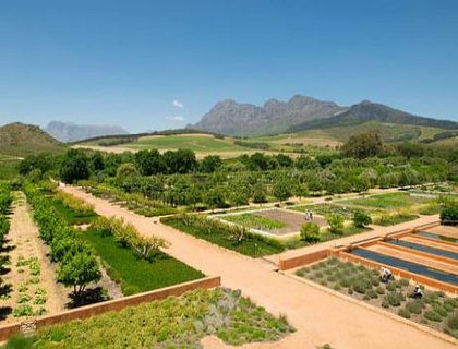 Visit Babylonstoren or Vergelegen