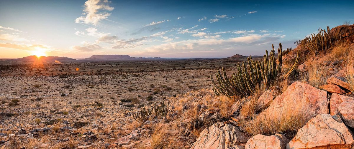 Kalahari landscape northern cape - where to visit in South Africa