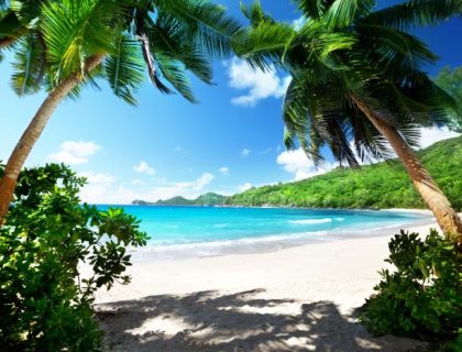 Safari and Beach Holidays - Takamaka beach,, Mahe island, Seychelles