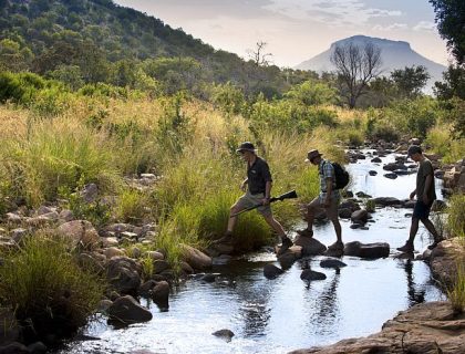 South Africa walking safaris