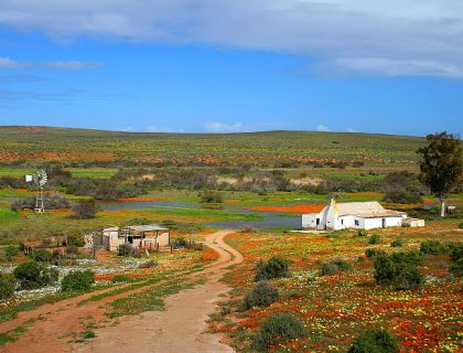 South Africa self-drive