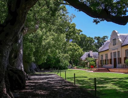 Winelands - Vergelegen