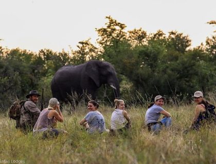 Walking safaris in Africa