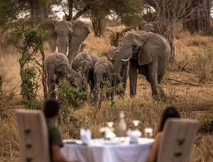 Tanzania-Tarangire-Nimali-tarangire-private-meals-by-pool