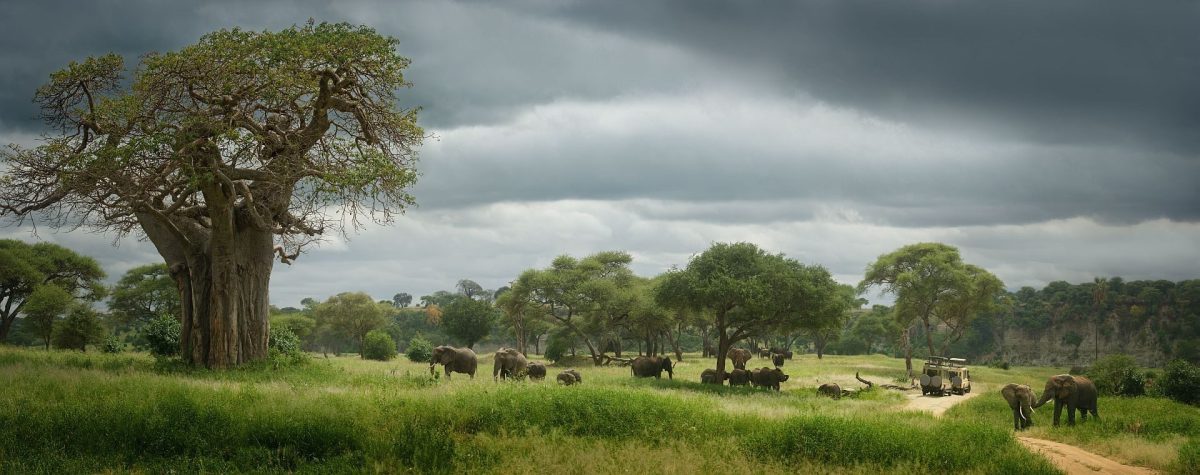 Cedarberg Travel | Migration Paths and Crater