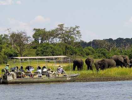 Botswana Safaris