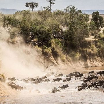 Serengeti migration safari, Tanzania