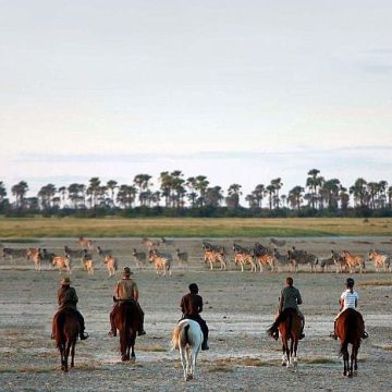 Makgadikgadi pans - horse-riding