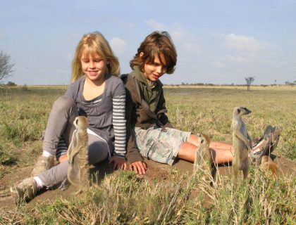 meerkat adventures experience