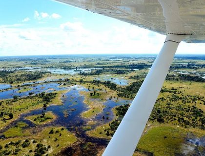 Botswana Safaris