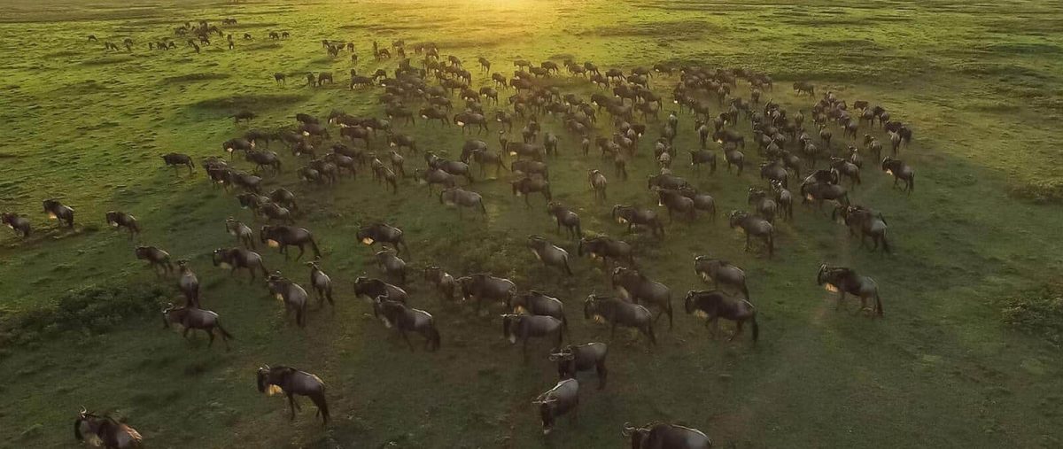 Cedarberg Travel | Highlights of Tanzania