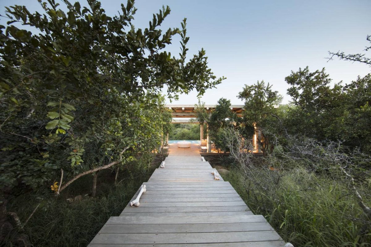 Cedarberg Travel | Kapama Karula