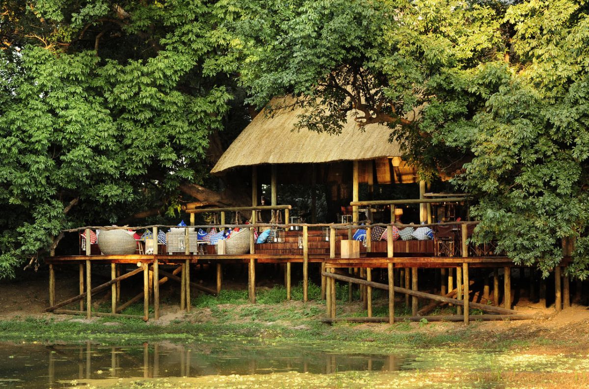 Cedarberg Travel | Bilimungwe Bush Camp