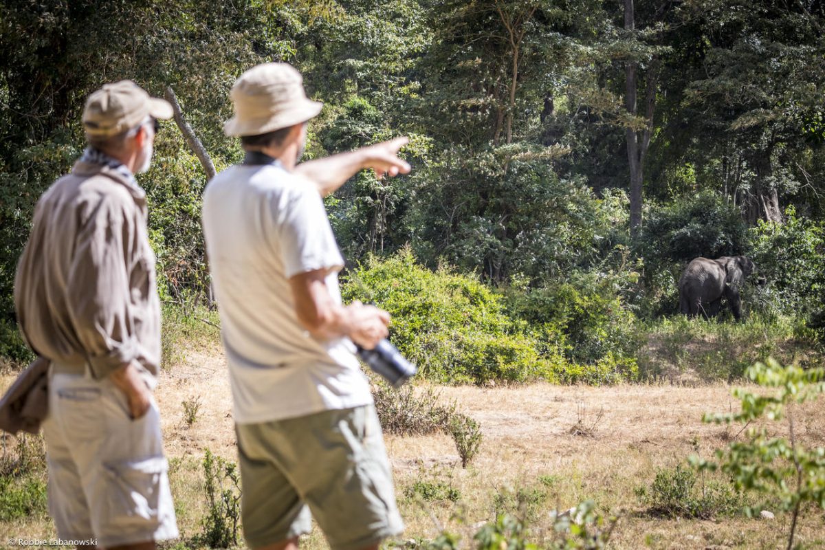 Cedarberg Travel | Kitich Forest Camp