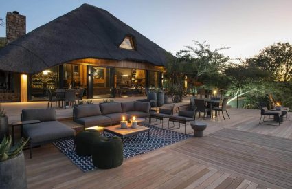 Bayethe at Shamwari Private Game Reserve
