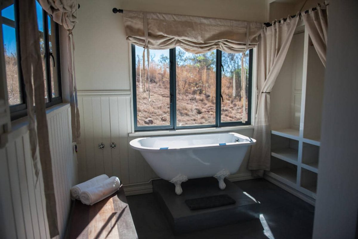 Cedarberg Travel | Three Trees at Spioenkop