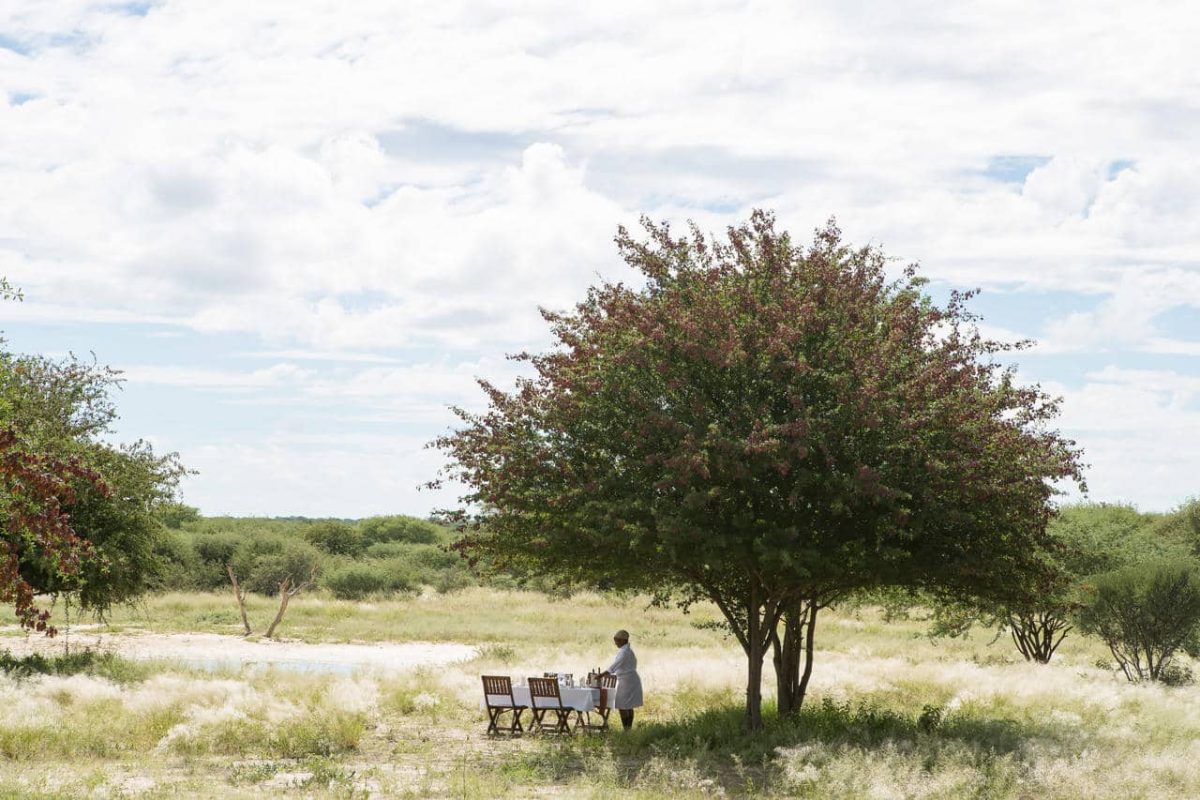 Cedarberg Travel | Dinaka Camp