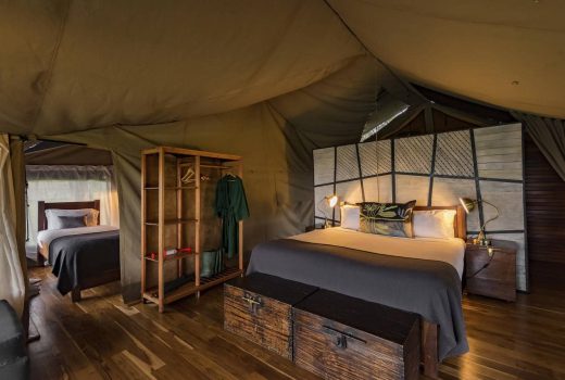 Family tented room (4 people)