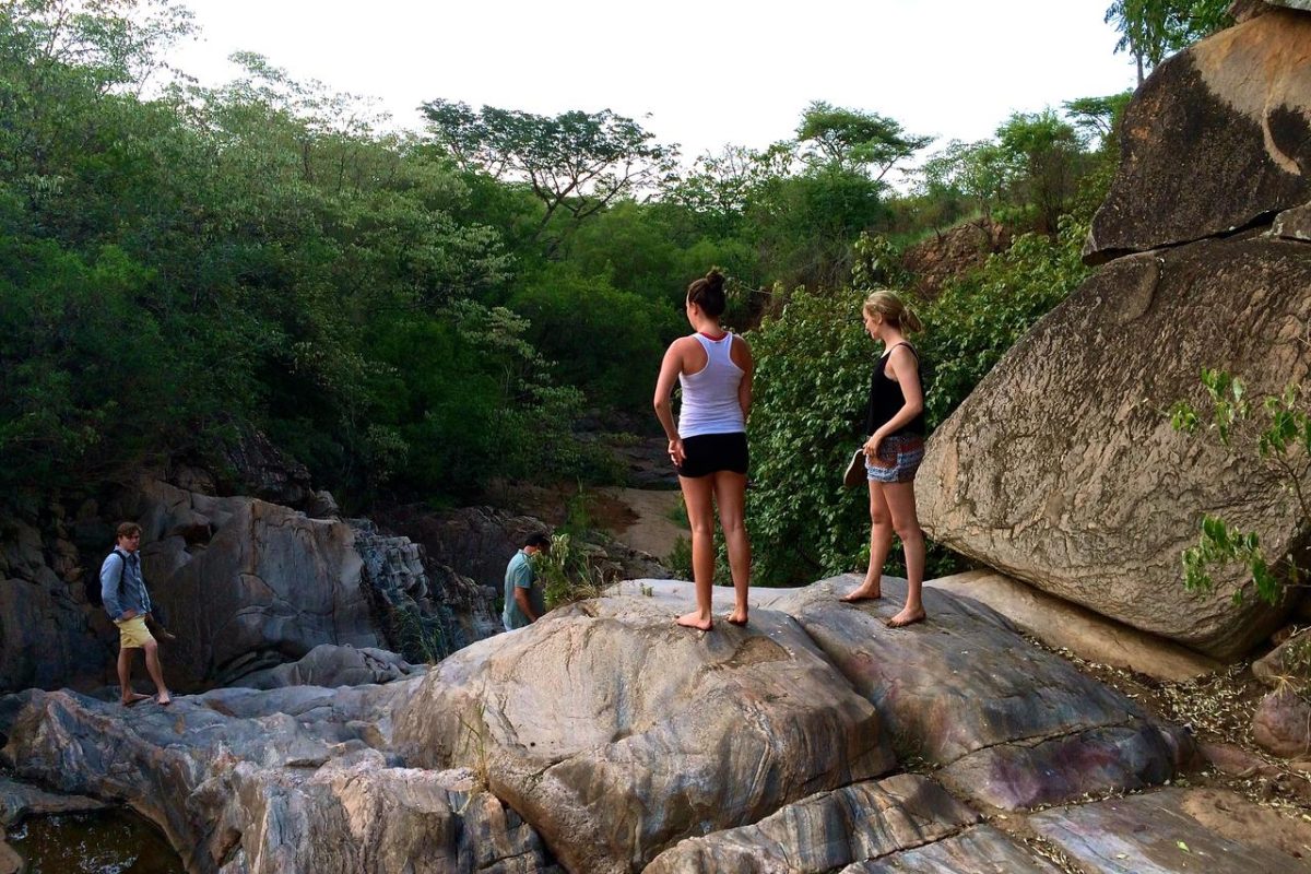 Cedarberg Travel | Apoka Safari Lodge