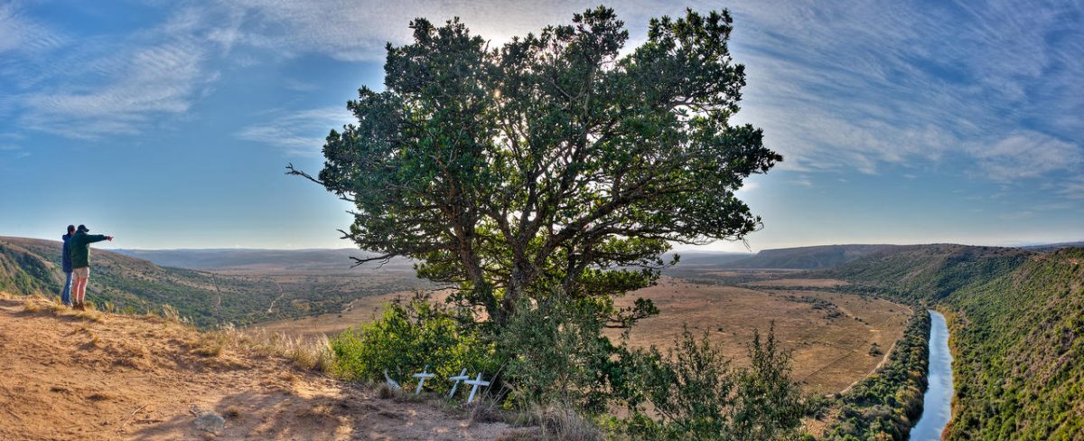Cedarberg Travel | Amakhala HillsNek Safari Camp