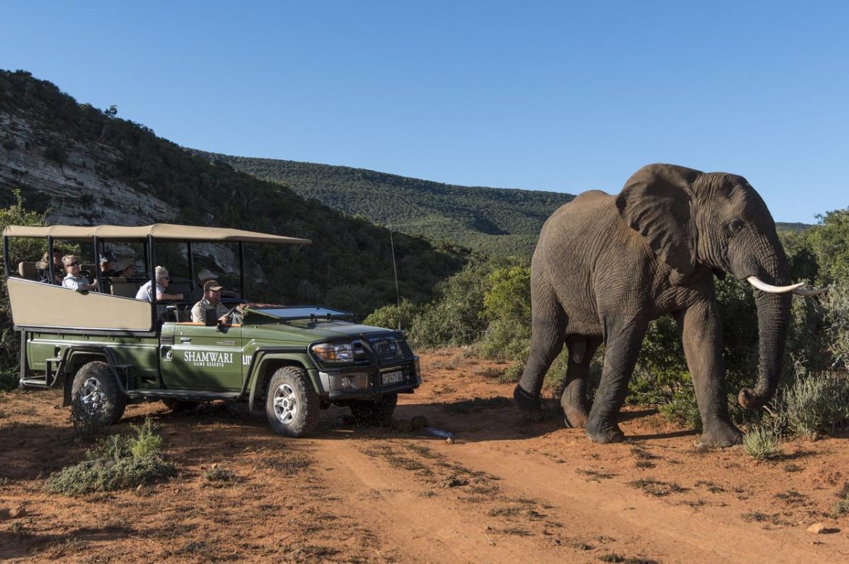 Cedarberg Travel | Eagles Crag at Shamwari Private Game Reserve