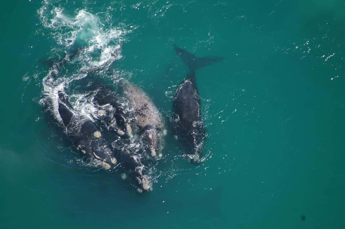 Cedarberg Travel | Lavender Manor Guest Lodge