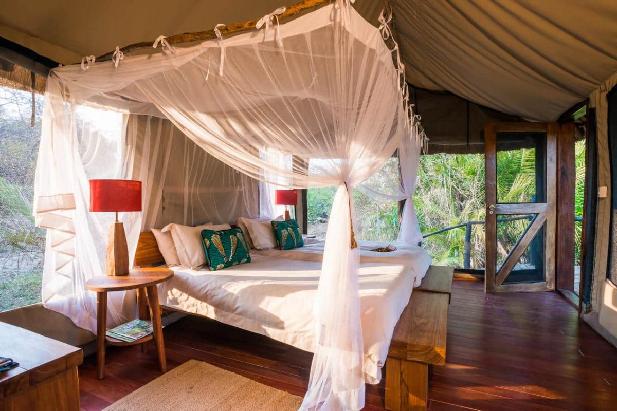 Cedarberg Travel | Kaingu Safari Lodge
