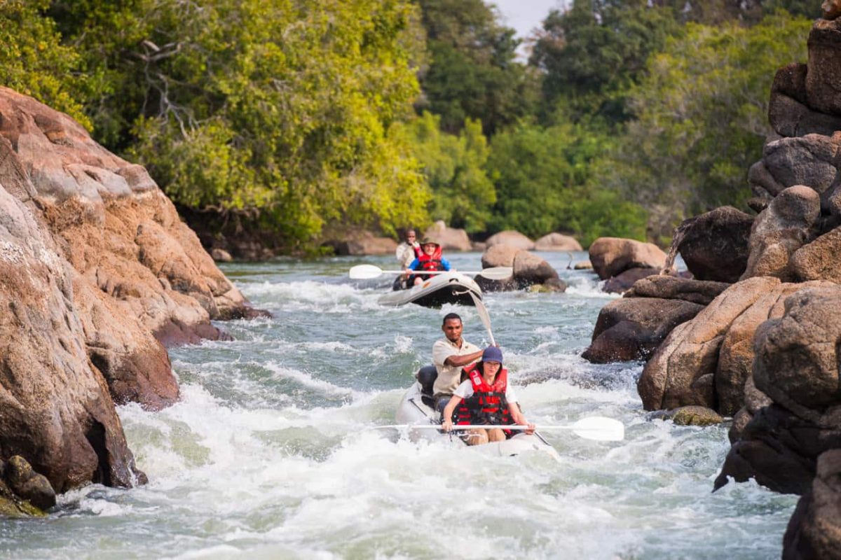 Cedarberg Travel | Kaingu Safari Lodge