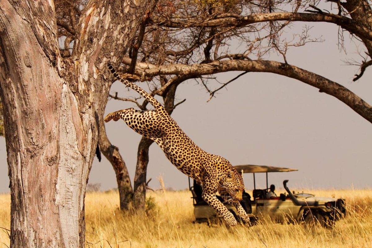 Cedarberg Travel | Shinde Camp