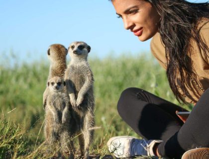 meerkat adventures experience