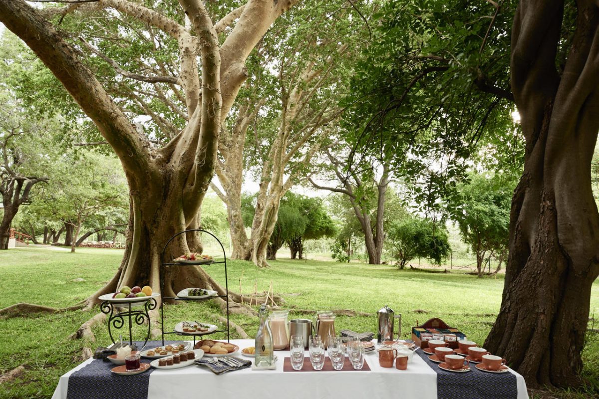 Cedarberg Travel | Sanctuary Chobe Chilwero Lodge