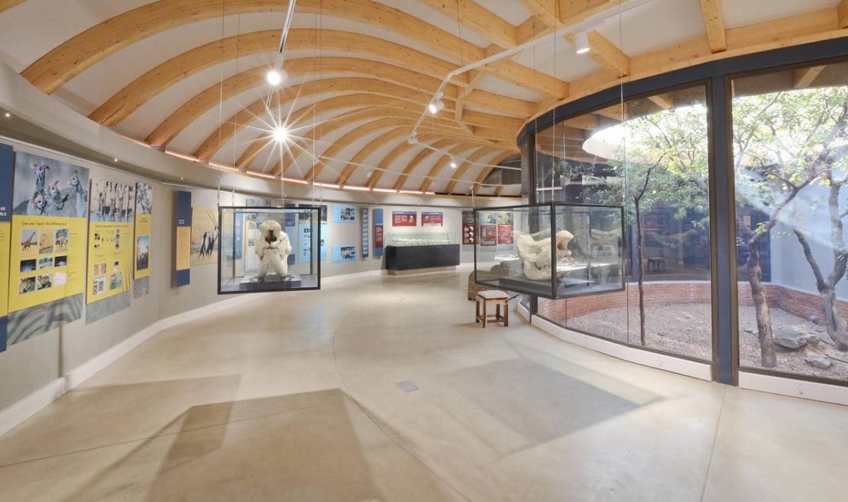 Cedarberg Travel | Andersson's @ Ongava