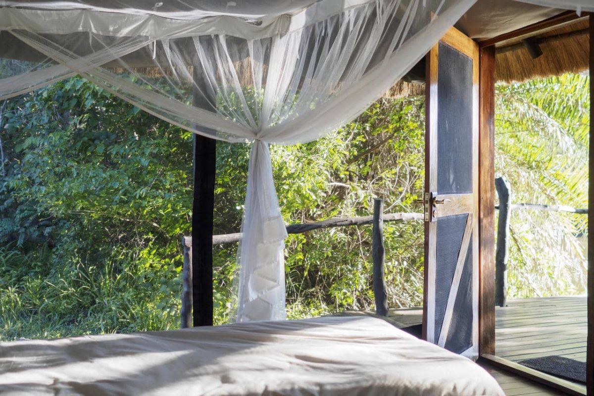 Cedarberg Travel | Kaingu Safari Lodge