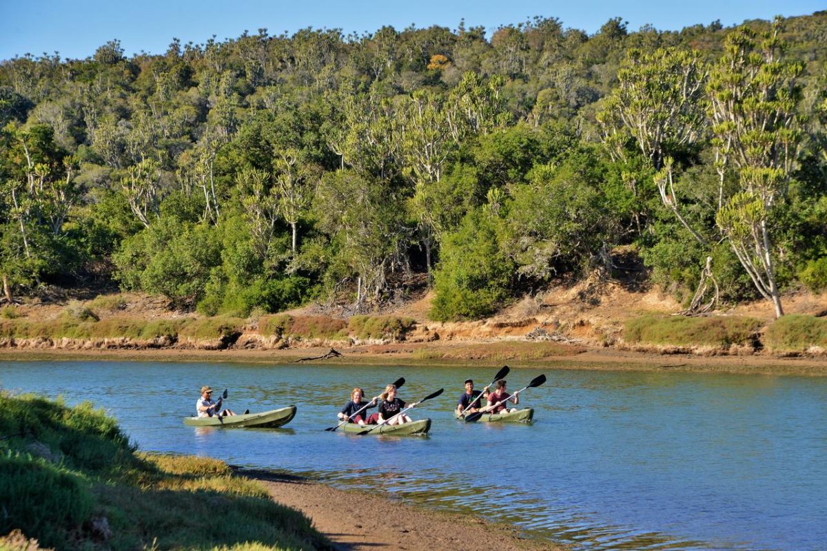 Cedarberg Travel | Sibuya Game Reserve Forest Camp