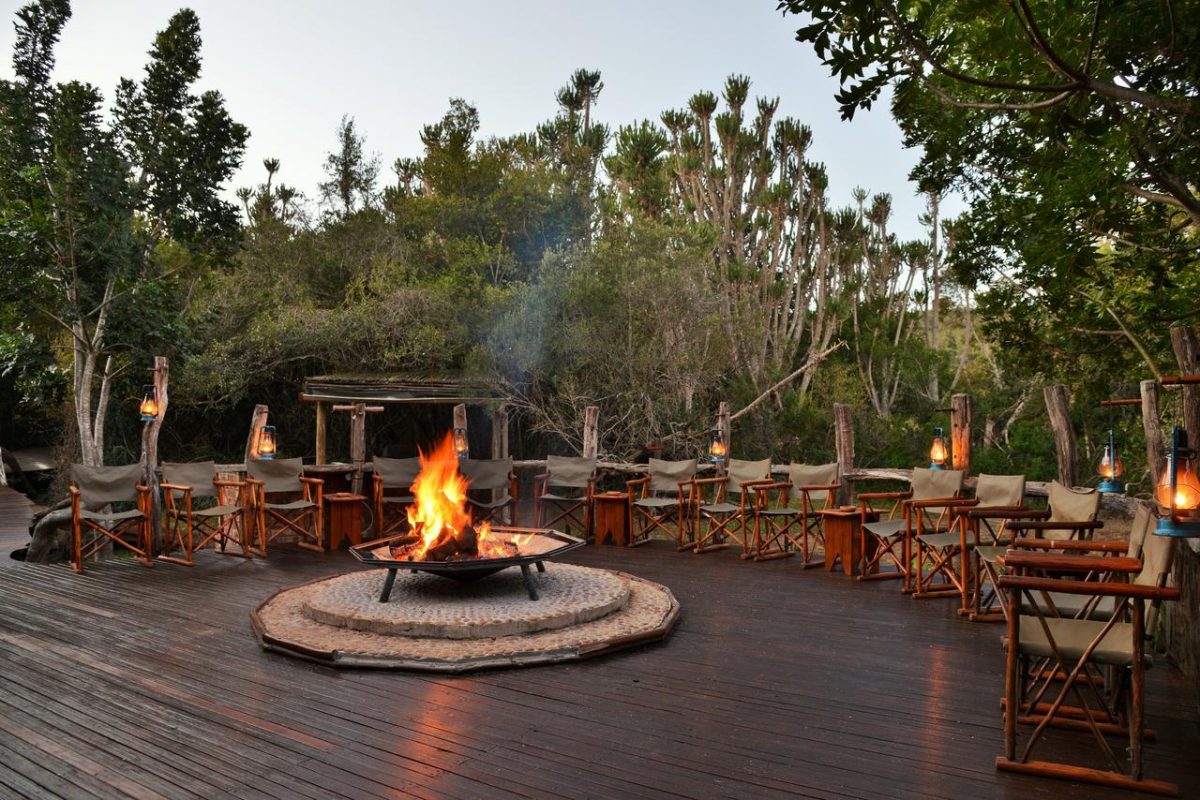 Cedarberg Travel | Sibuya Game Reserve Forest Camp