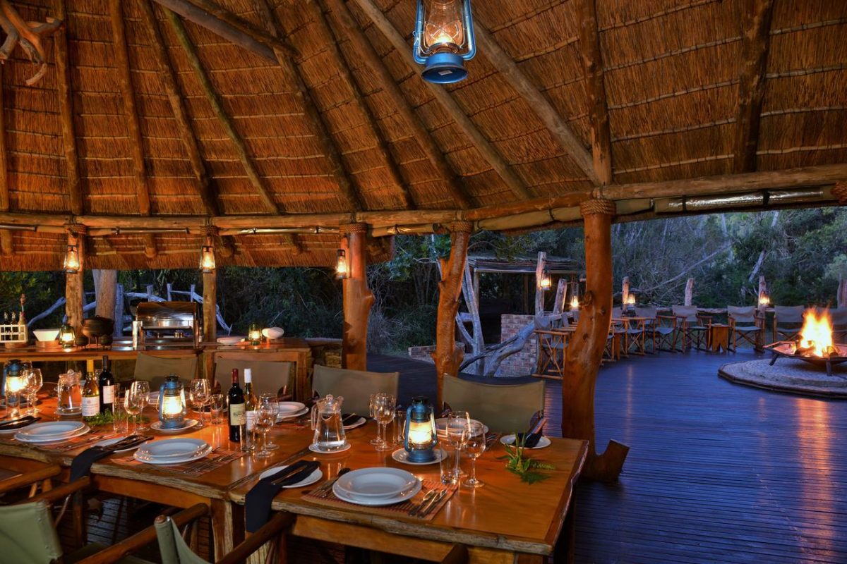Cedarberg Travel | Sibuya Game Reserve Forest Camp