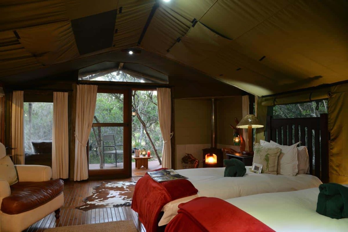 Cedarberg Travel | Sibuya Game Reserve Forest Camp