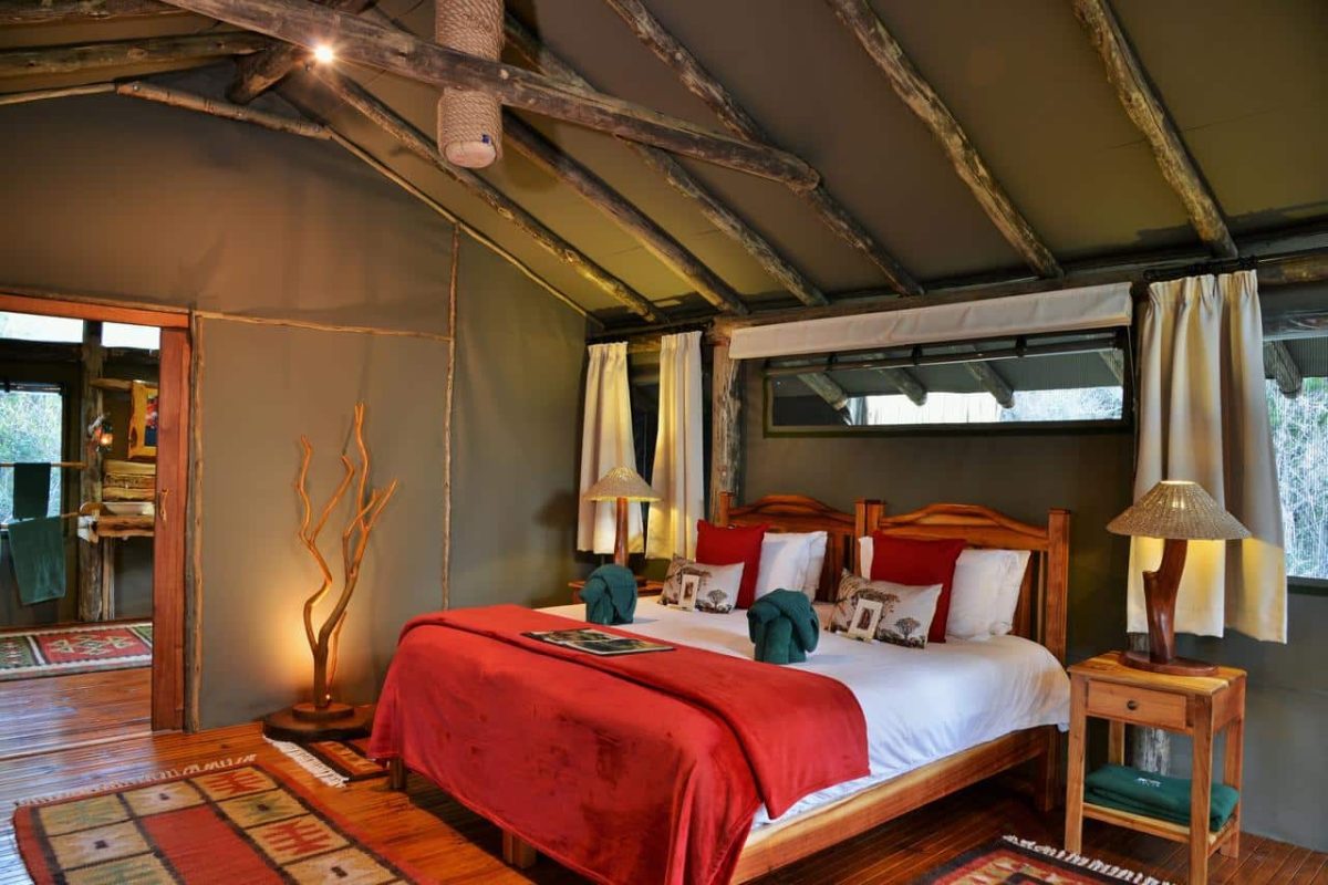 Cedarberg Travel | Sibuya Game Reserve Forest Camp